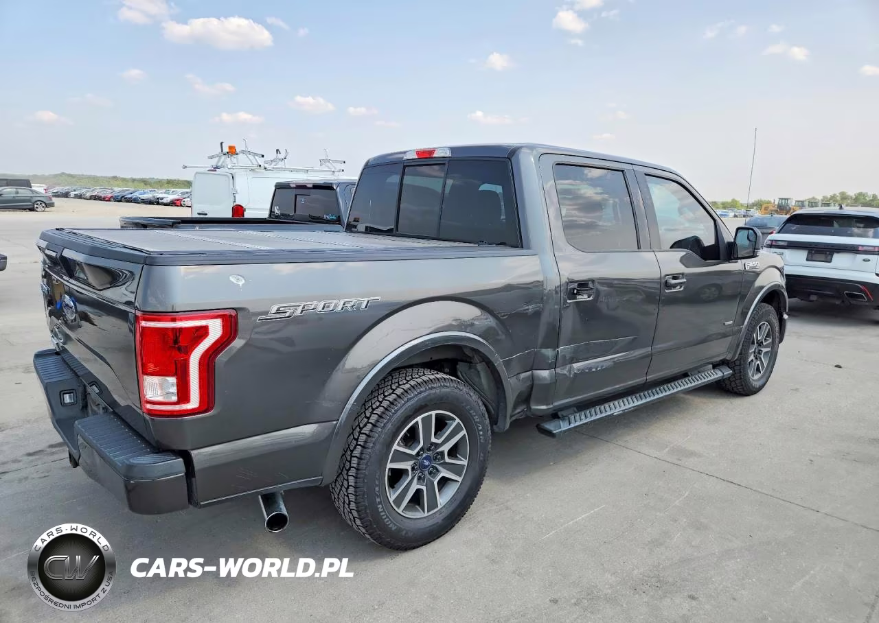 2016 Ford F150 Supercrew VIN:1FTEW1CP6GKF16283 - 3