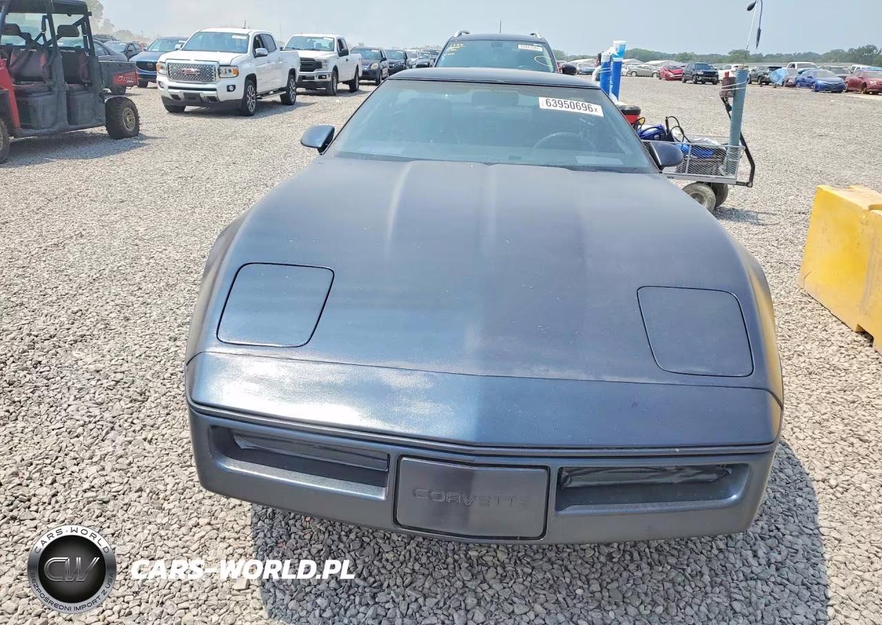 1989 Chevrolet Corvette VIN:1G1YY2184K5100077 - 5