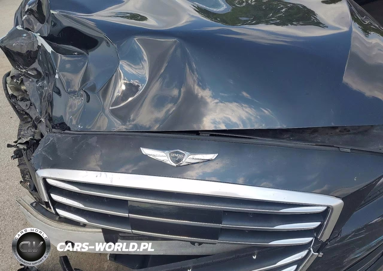 2017 Genesis G80 3.8 VIN:KMHGN4JE4HU189236 - 11