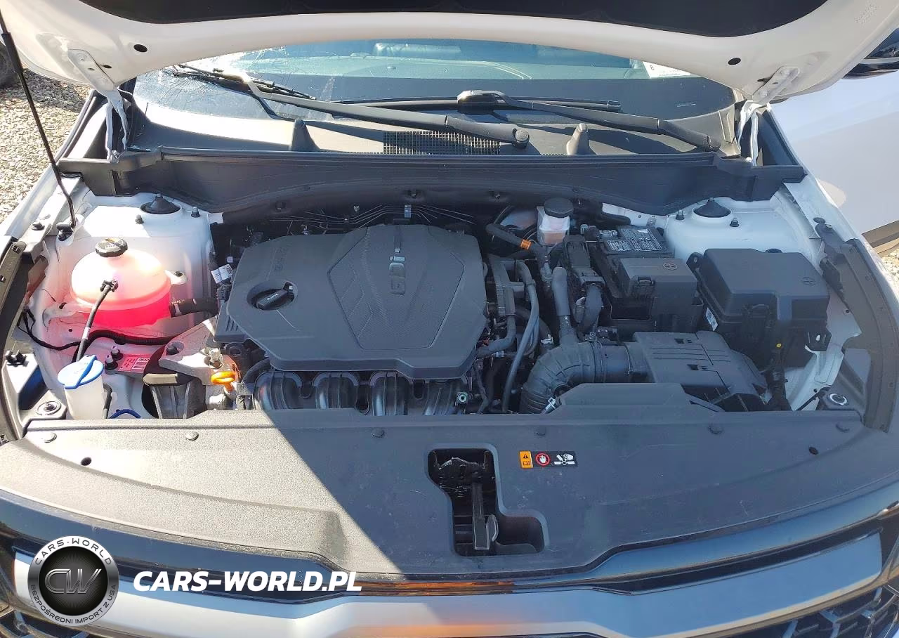 2023 Kia Sportage X-Pro VIN:5XYK7CAF2PG021896 - 12