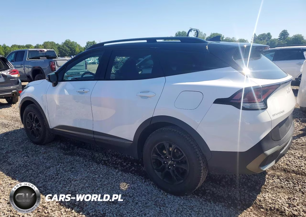 2023 Kia Sportage X-Pro VIN:5XYK7CAF2PG021896 - 2