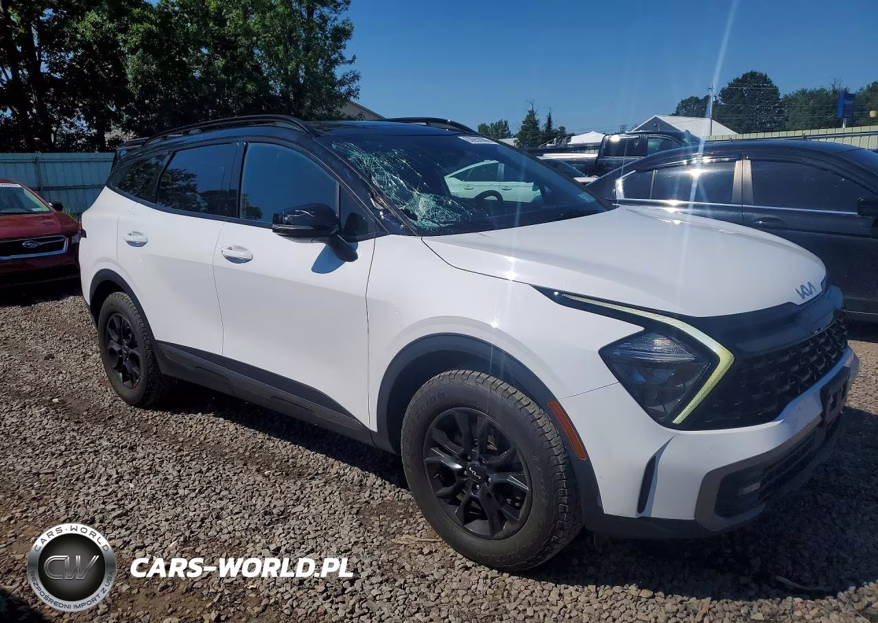 2023 Kia Sportage X-Pro VIN:5XYK7CAF2PG021896 - 4