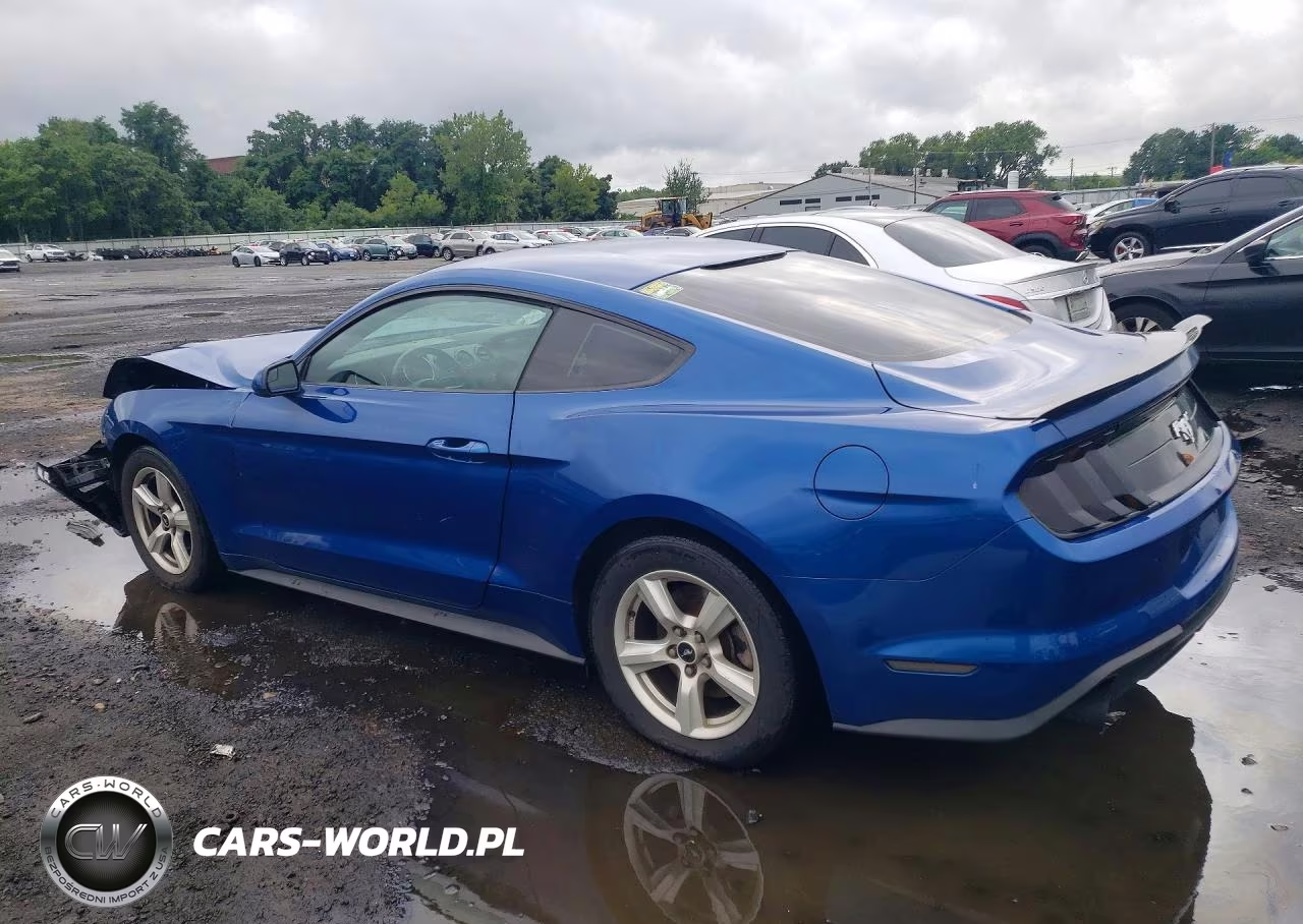 2018 Ford Mustang VIN:1FA6P8TH4J5164836 - 2
