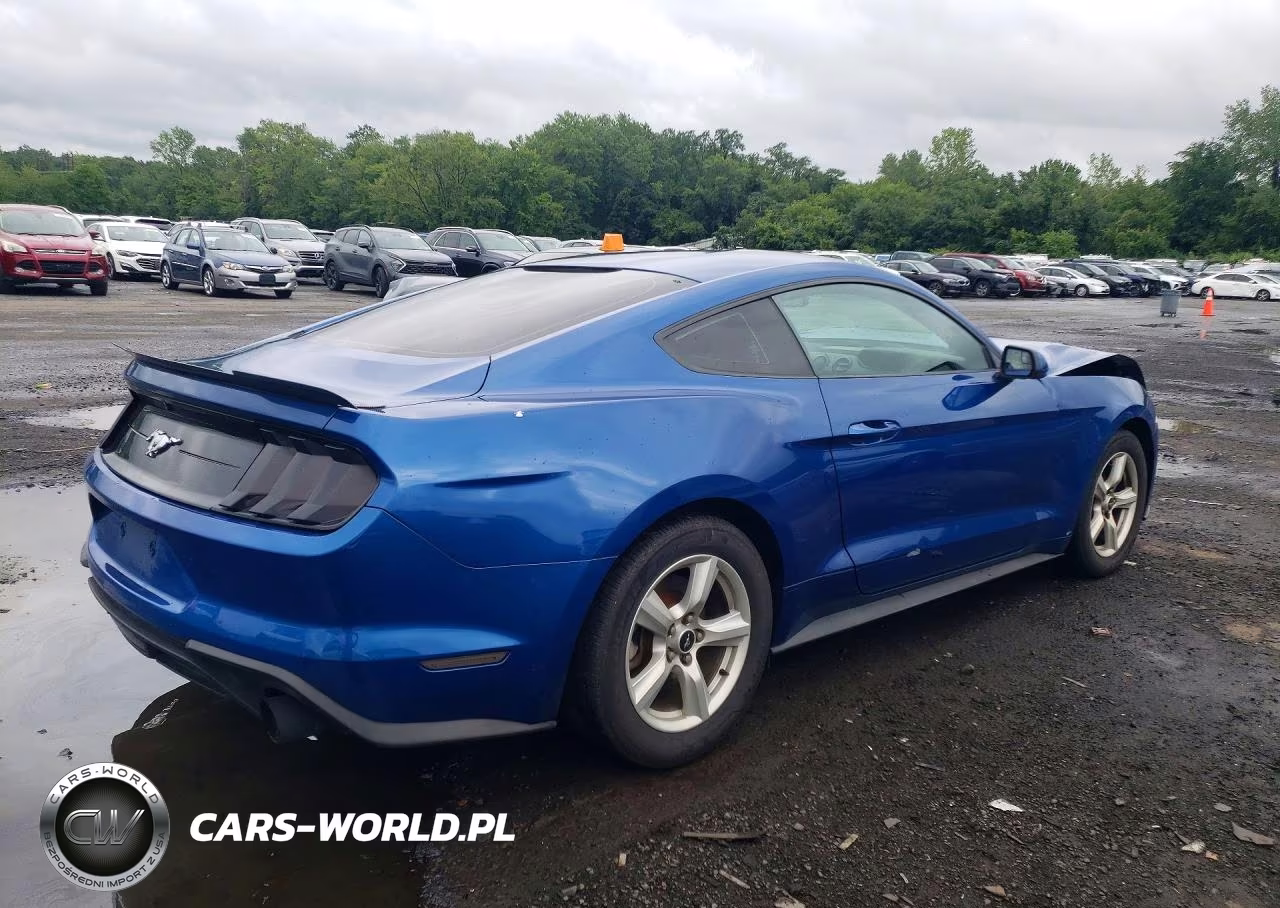 2018 Ford Mustang VIN:1FA6P8TH4J5164836 - 3