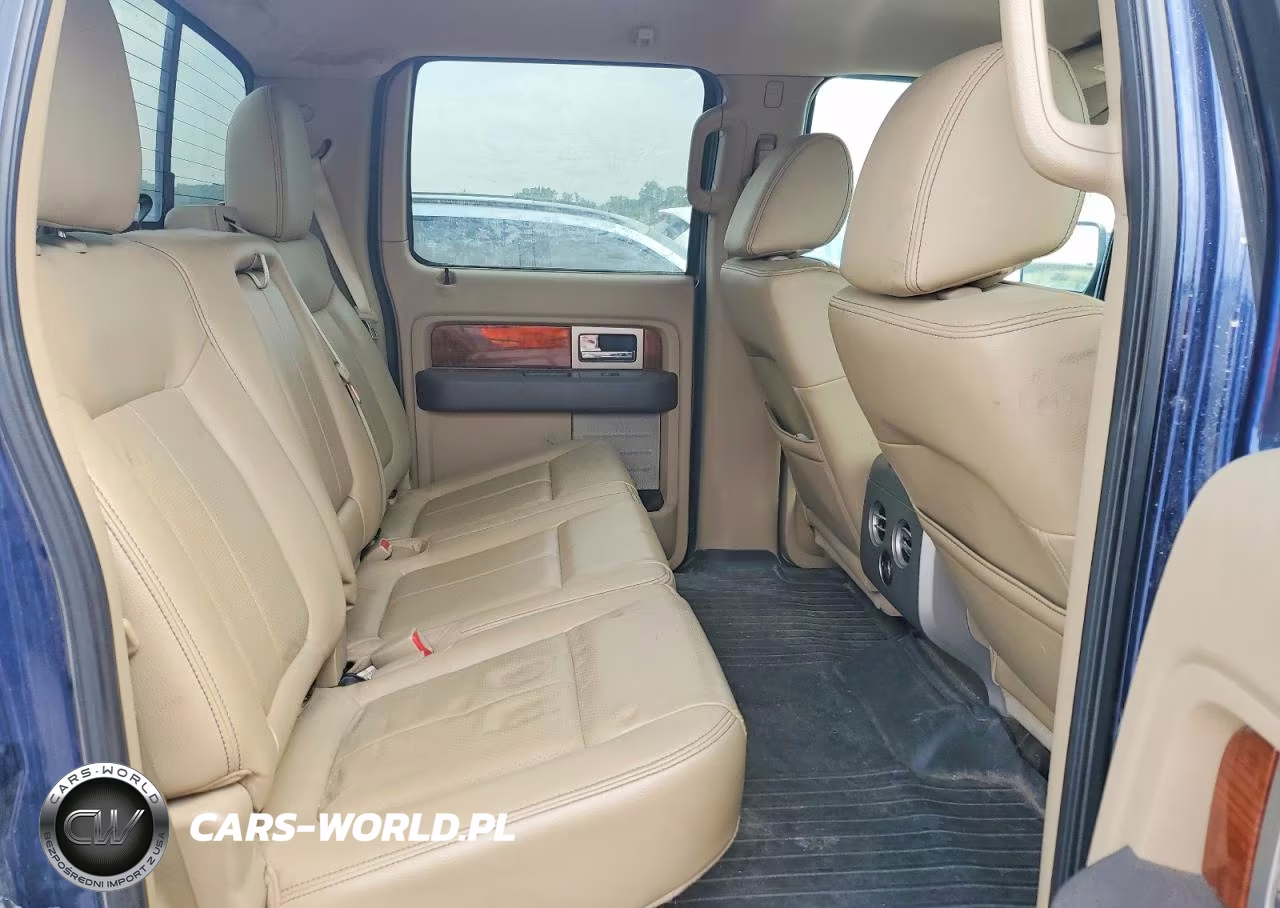2010 Ford F150 Supercrew VIN:1FTFW1EV6AFC23807 - 10