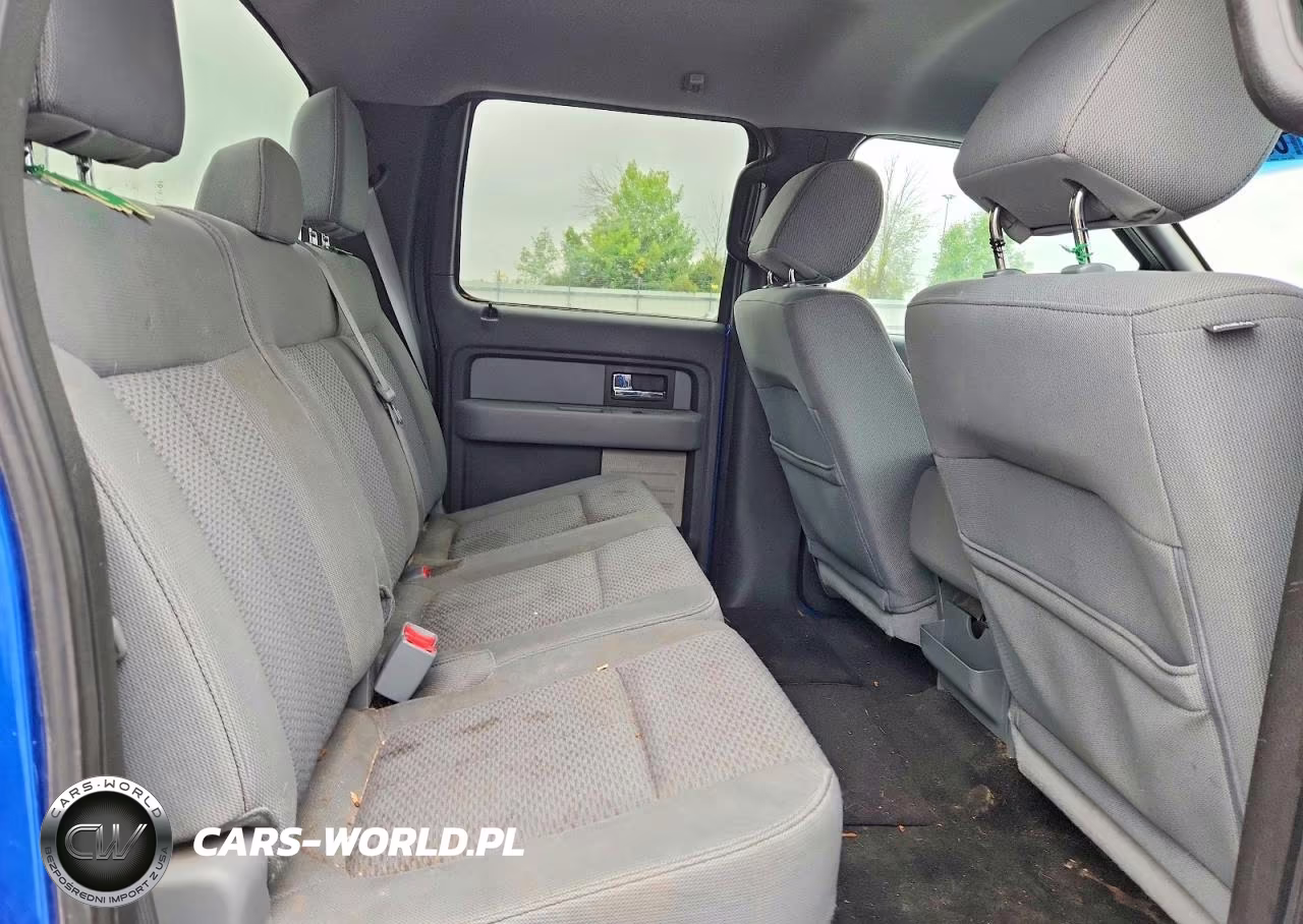 2013 Ford F150 Supercrew VIN:1FTFW1EF9DKD81983 - 10