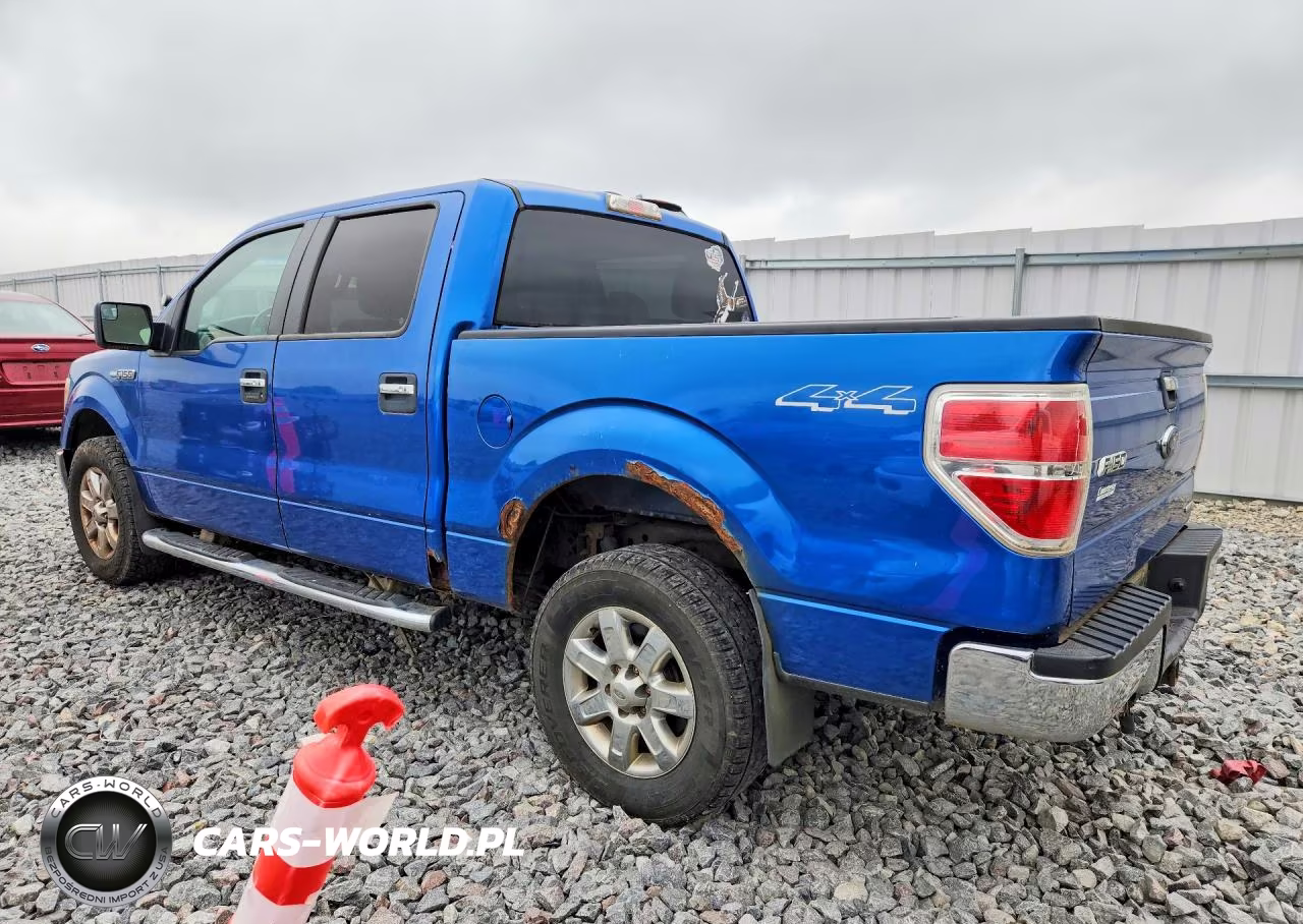 2013 Ford F150 Supercrew VIN:1FTFW1EF9DKD81983 - 2