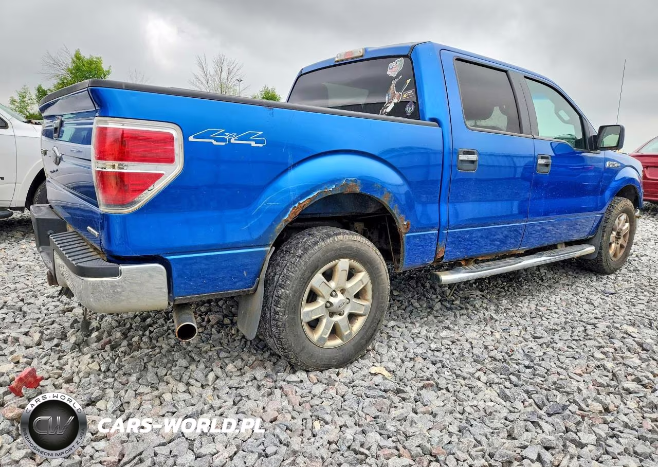 2013 Ford F150 Supercrew VIN:1FTFW1EF9DKD81983 - 3