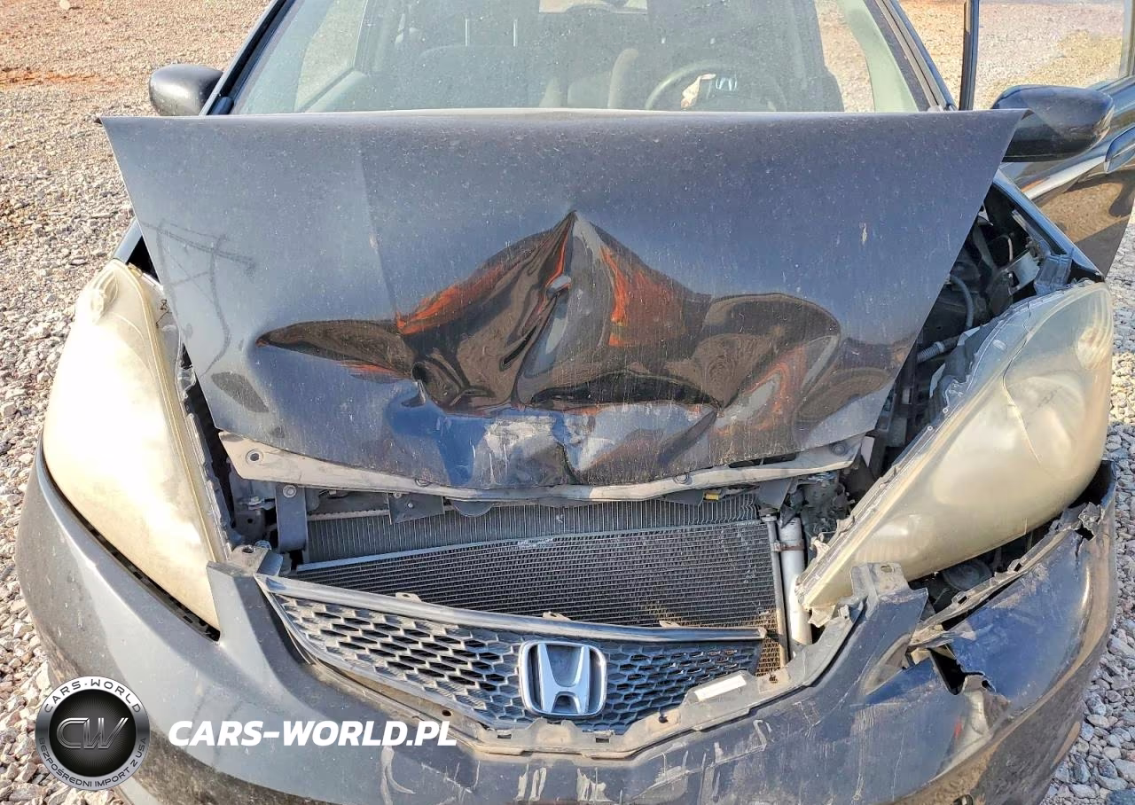 2013 Honda Fit VIN:JHMGE8H38DC050399 - 11