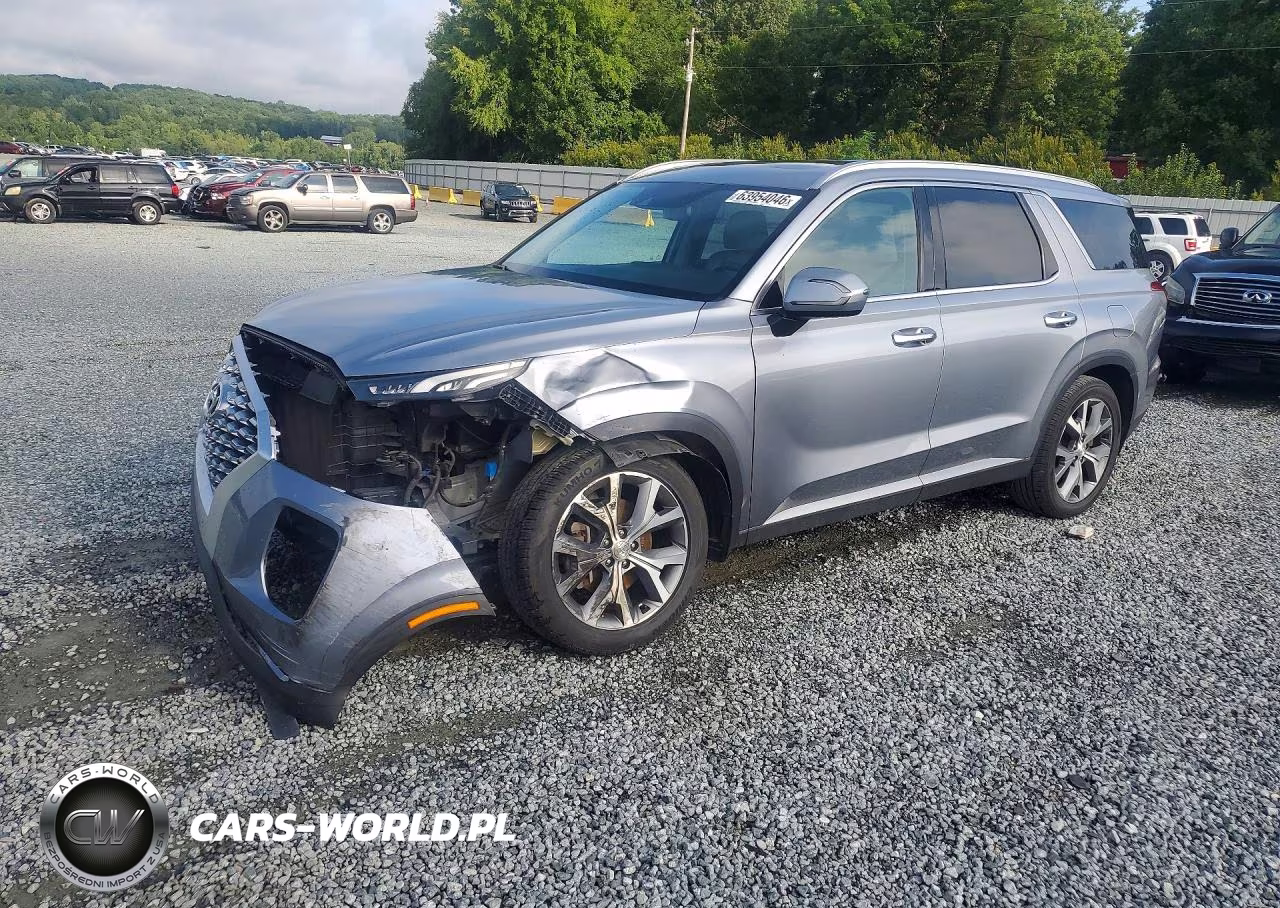 2020 Hyundai Palisade Sel VIN:KM8R44HE5LU095523 - 1