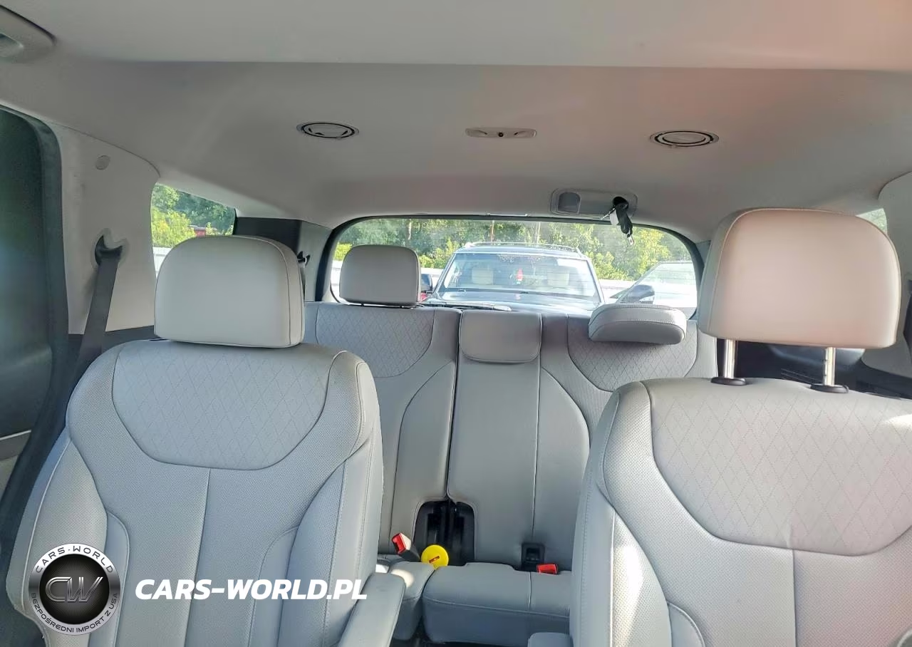 2020 Hyundai Palisade Sel VIN:KM8R44HE5LU095523 - 10