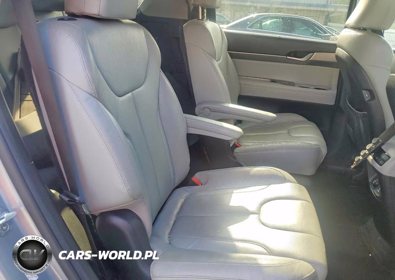 2020 Hyundai Palisade Sel VIN:KM8R44HE5LU095523 - 11