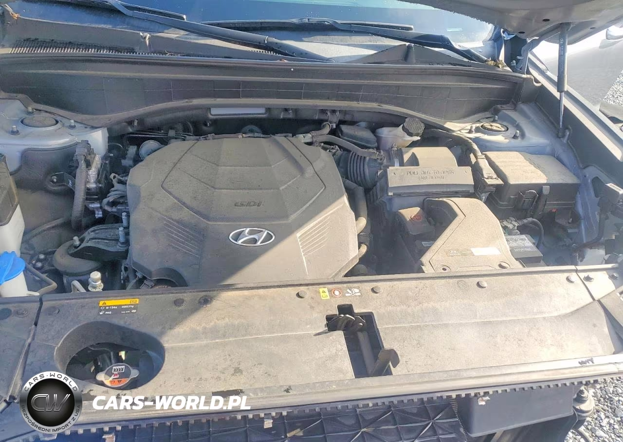 2020 Hyundai Palisade Sel VIN:KM8R44HE5LU095523 - 12