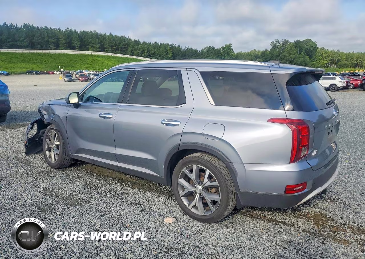 2020 Hyundai Palisade Sel VIN:KM8R44HE5LU095523 - 2