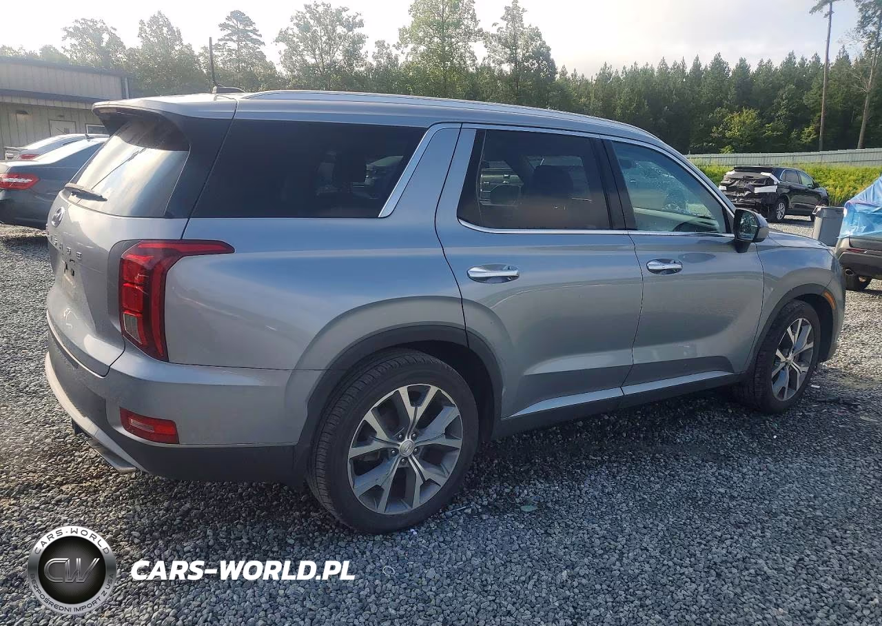 2020 Hyundai Palisade Sel VIN:KM8R44HE5LU095523 - 3