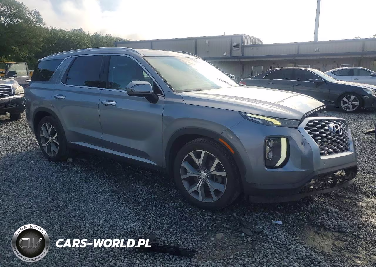 2020 Hyundai Palisade Sel VIN:KM8R44HE5LU095523 - 4