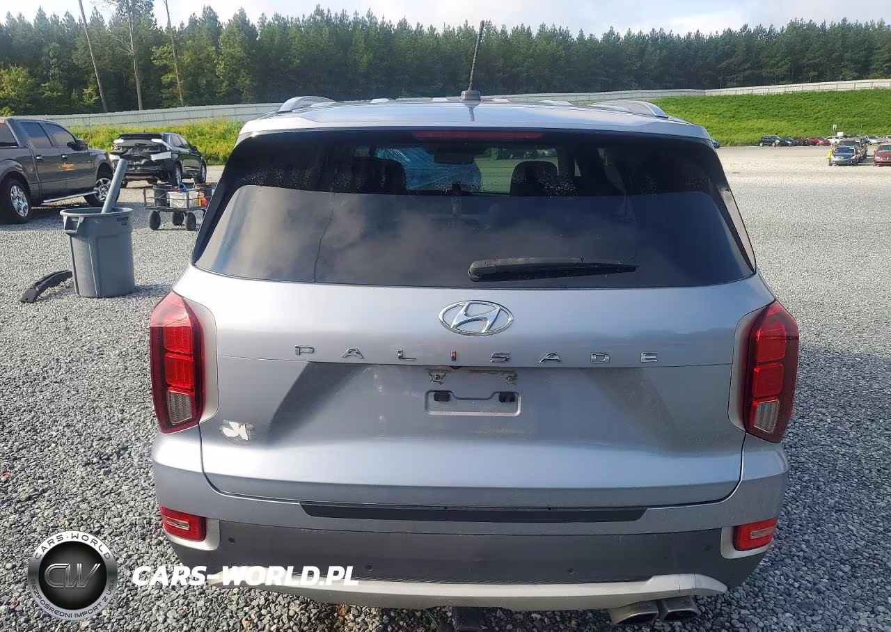 2020 Hyundai Palisade Sel VIN:KM8R44HE5LU095523 - 6