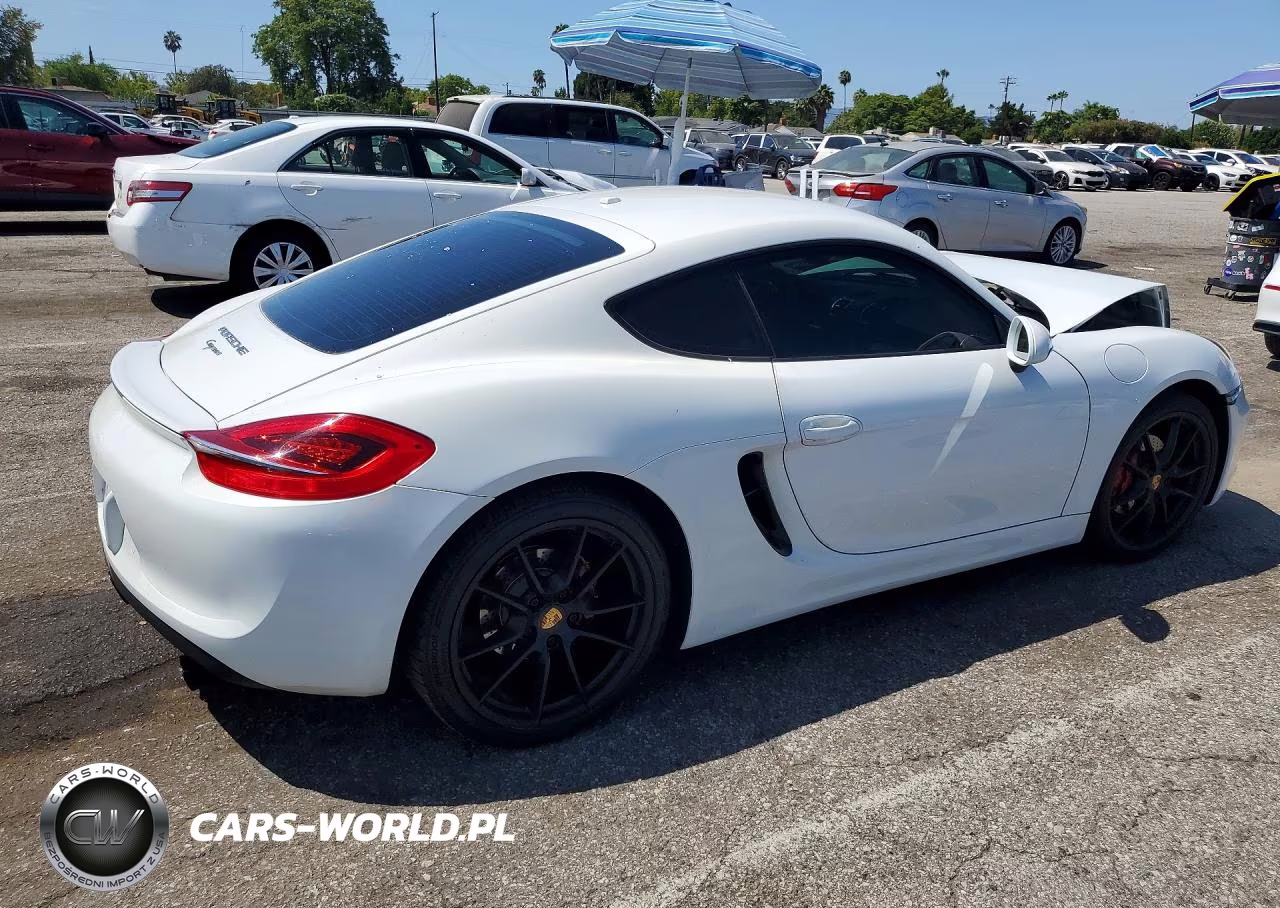 2015 Porsche Cayman VIN:WP0AA2A84FK162003 - 3