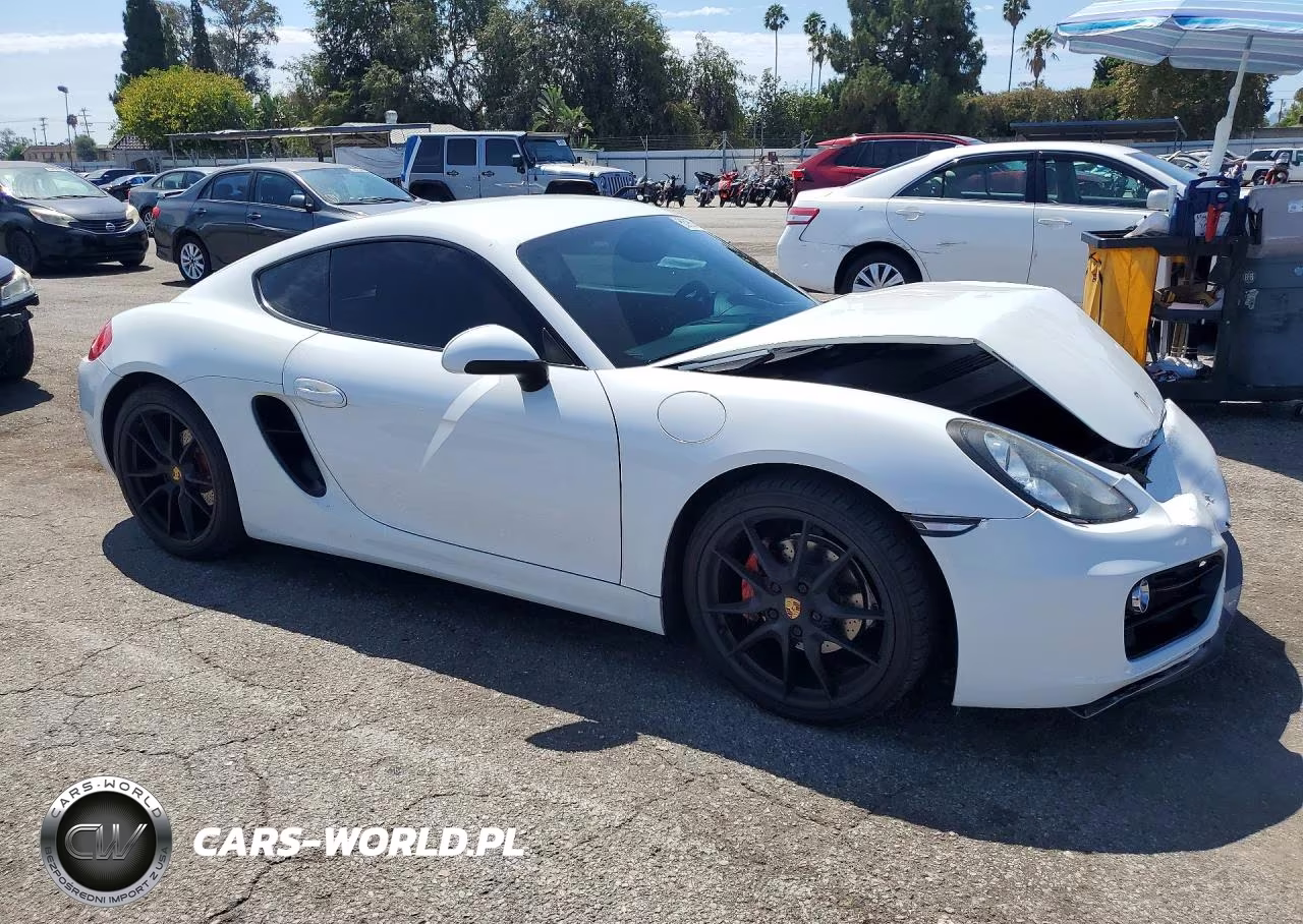 2015 Porsche Cayman VIN:WP0AA2A84FK162003 - 4