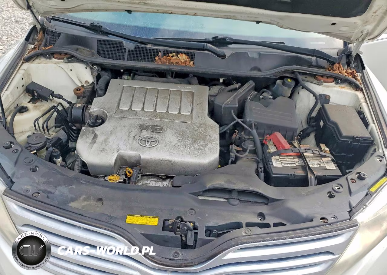 2010 Toyota Venza Awd V6 VIN:4T3BK3BBXAU041123 - 11