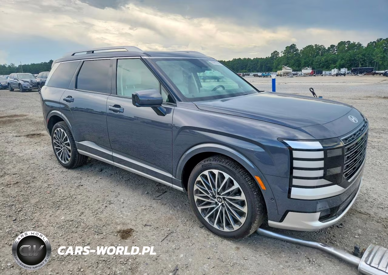2026 Hyundai Palisade Calligraphy VIN:KM8RM5S29TU041128 - 4