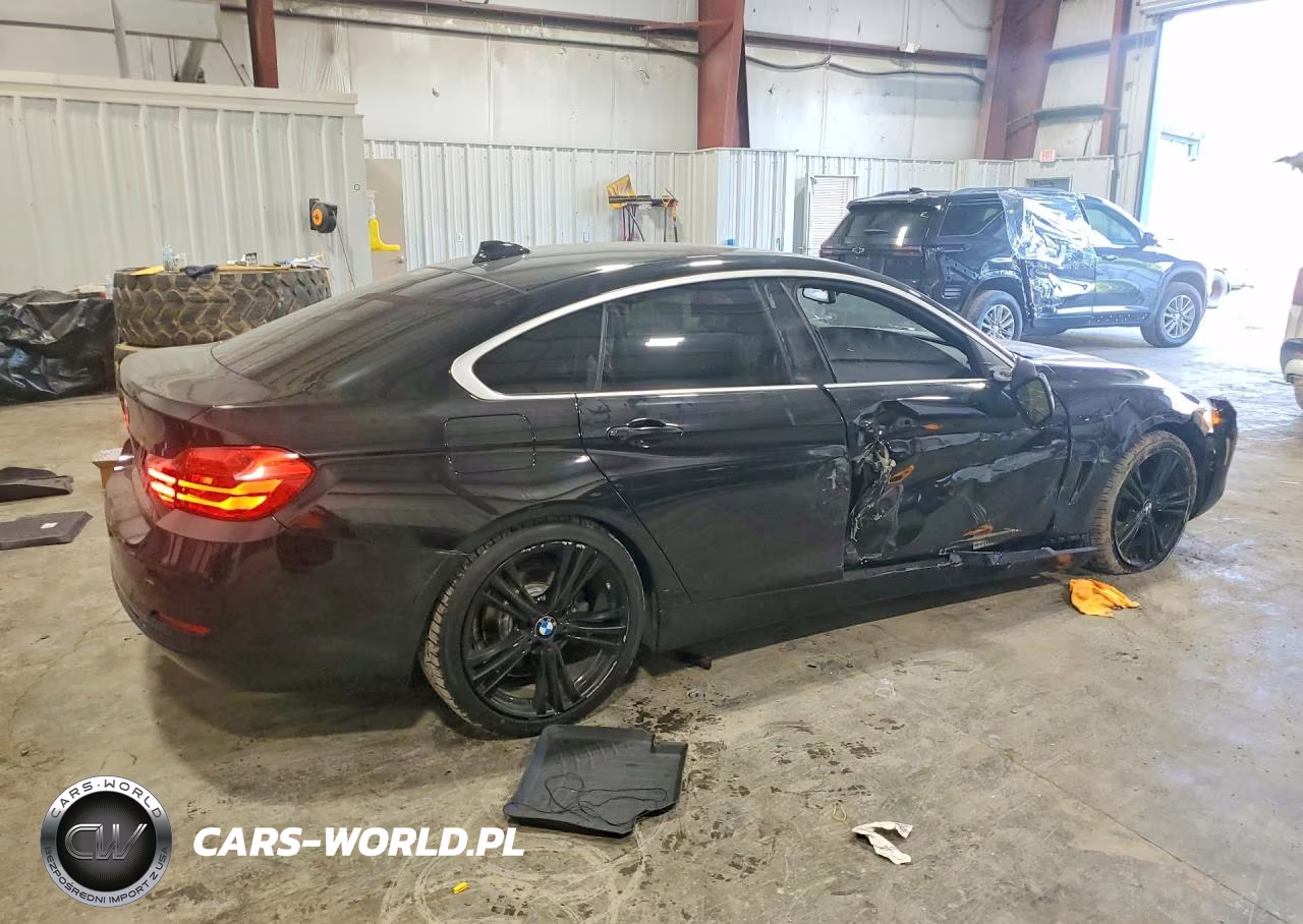 2016 BMW 428 I Gran Coupe Sulev VIN:WBA4A9C52GG505272 - 3