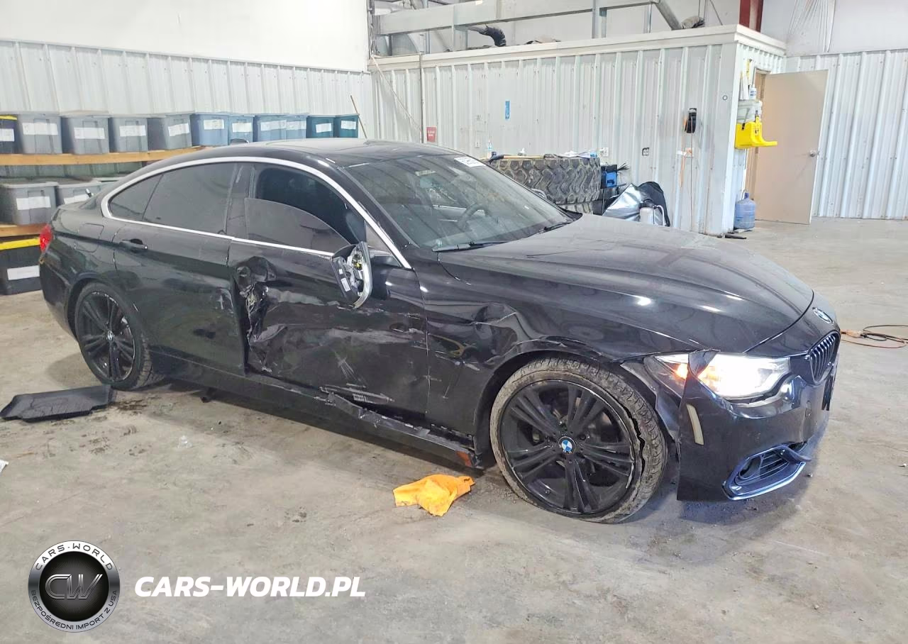2016 BMW 428 I Gran Coupe Sulev VIN:WBA4A9C52GG505272 - 4