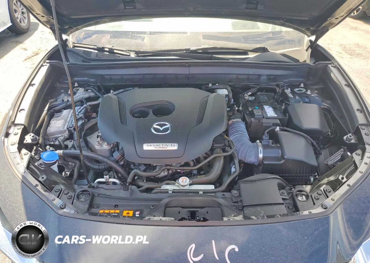 2023 Mazda Cx-30 Premium Plus VIN:3MVDMBEY6PM517339 - 12