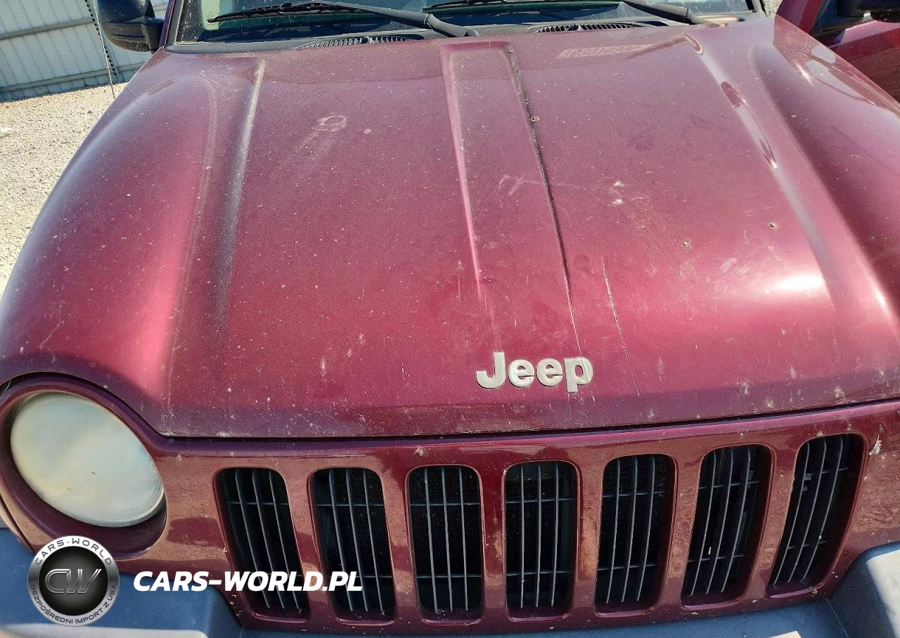 2002 Jeep Liberty Sport VIN:1J4GL48K12W296207 - 11