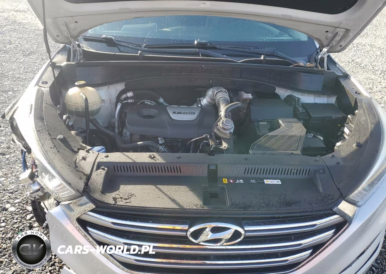 2017 Hyundai Tucson Limited VIN:KM8J3CA26HU365358 - 12