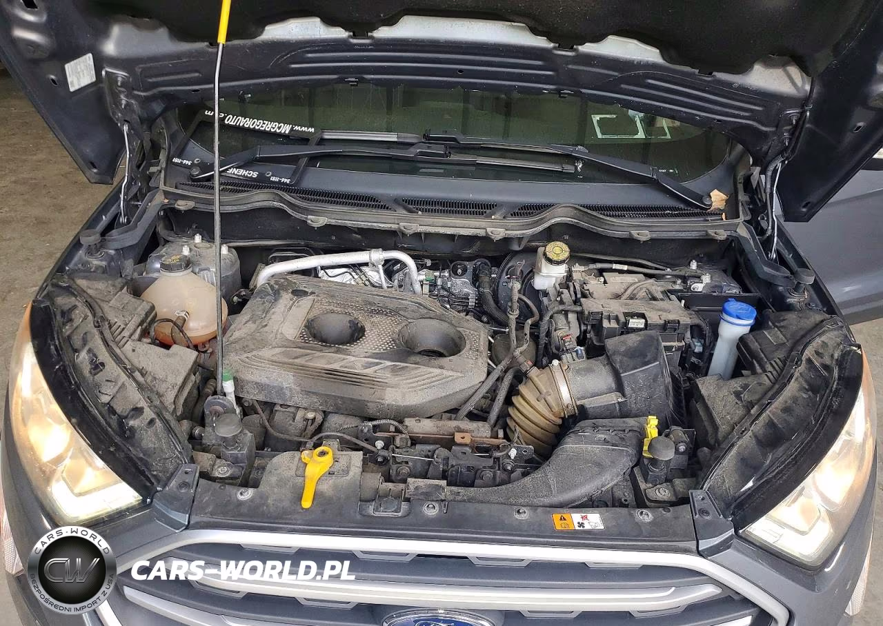 2019 Ford Ecosport Se VIN:MAJ6S3GL4KC271317 - 12