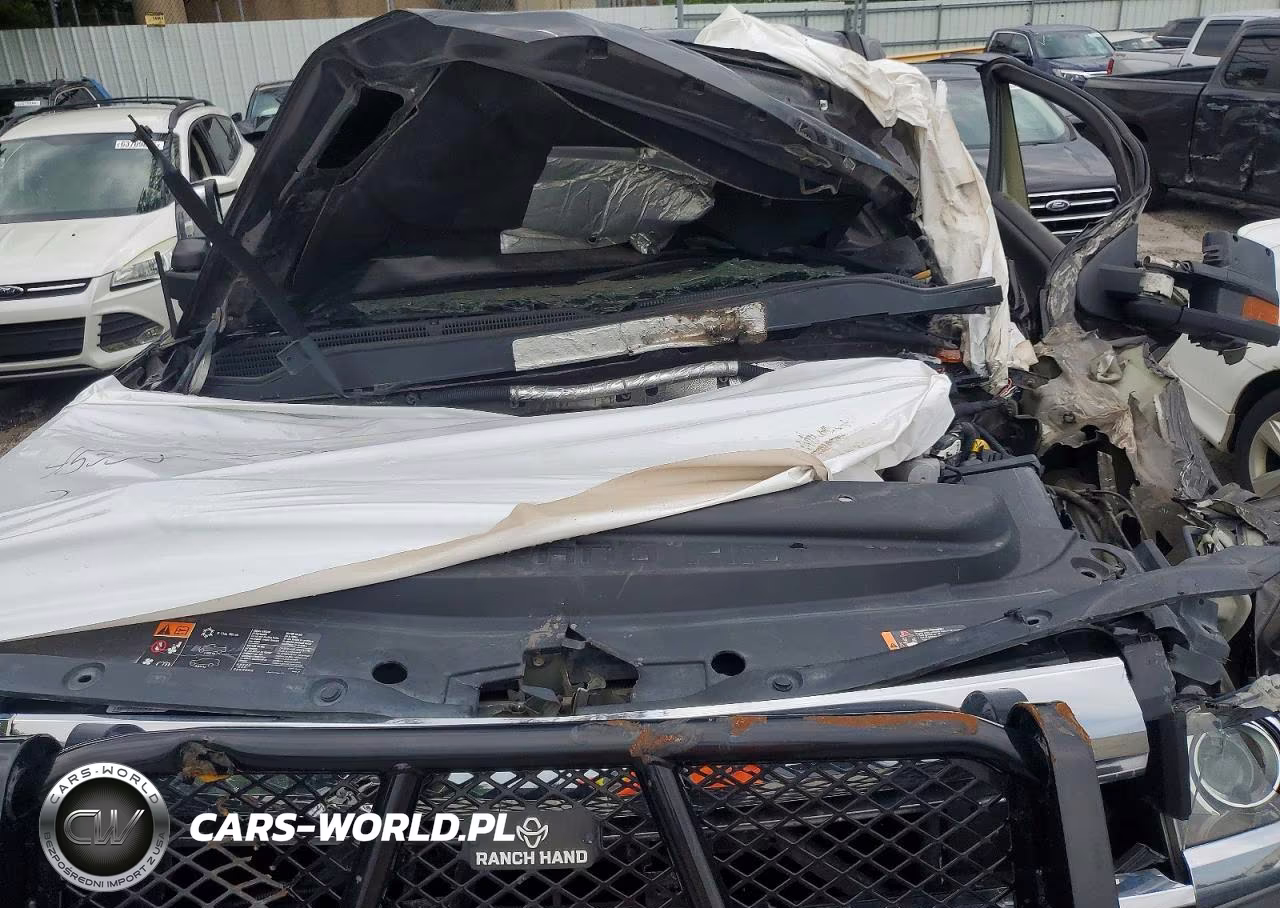 2019 Chevrolet Silverado 2500Hd Ltz VIN:1GC1KTEY4KF141829 - 11