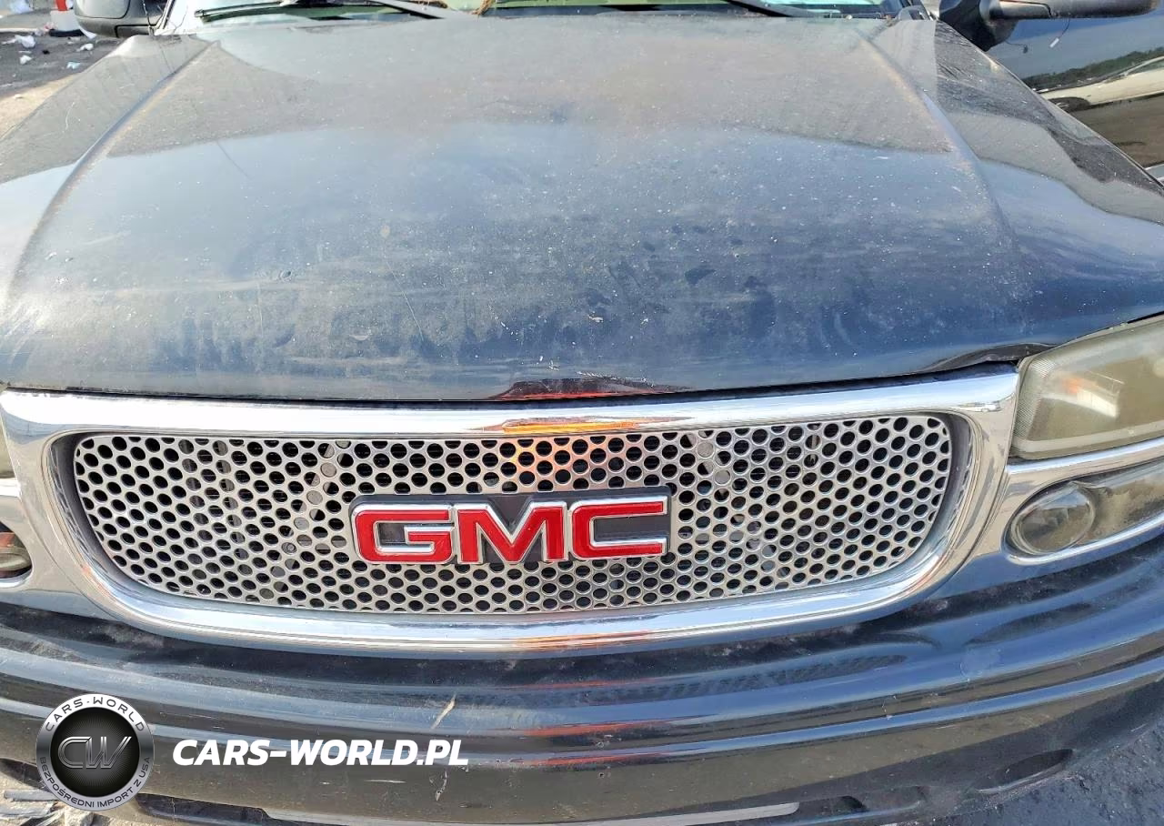 2003 GMC Sierra K1500 Denali VIN:2GTFK69U531163071 - 11