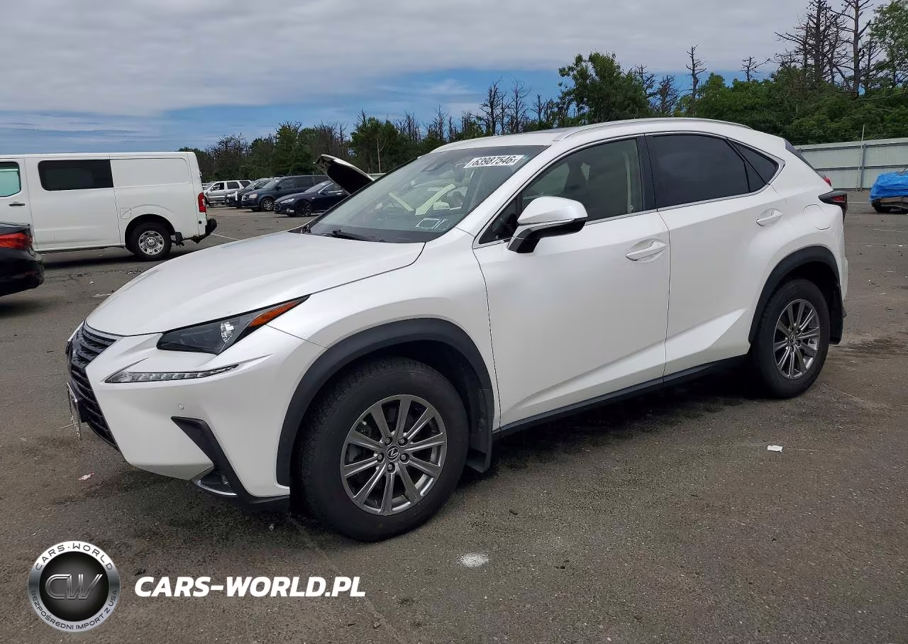 2019 Lexus Nx 300 Base