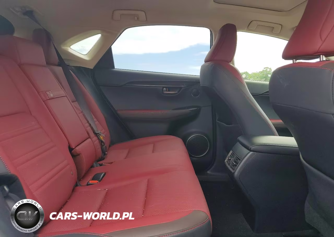 2019 Lexus Nx 300 Base VIN:JTJBARBZ2K2191723 - 10