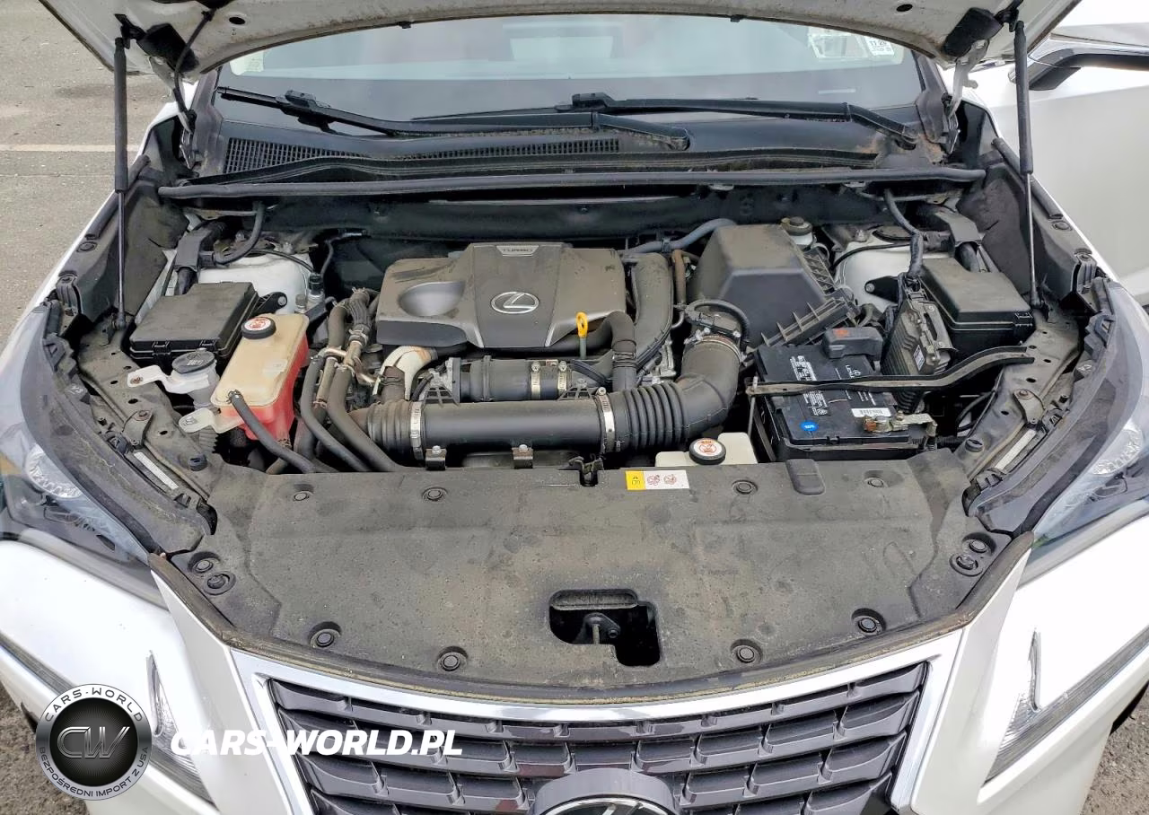 2019 Lexus Nx 300 Base VIN:JTJBARBZ2K2191723 - 11