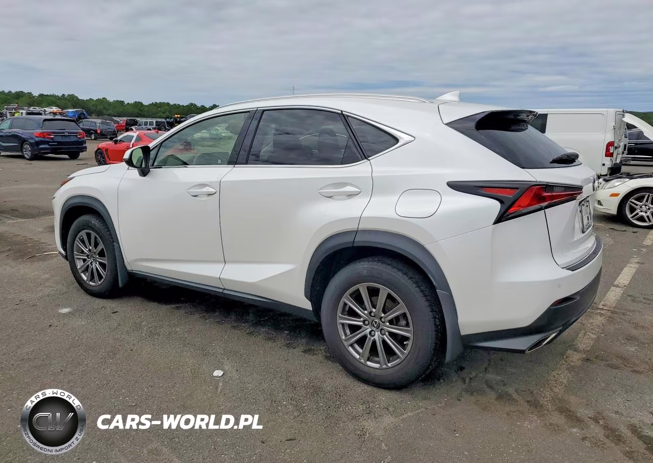 2019 Lexus Nx 300 Base VIN:JTJBARBZ2K2191723 - 2