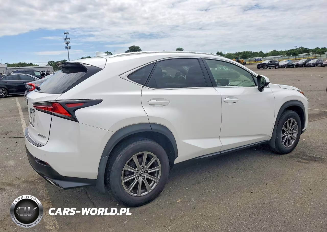 2019 Lexus Nx 300 Base VIN:JTJBARBZ2K2191723 - 3