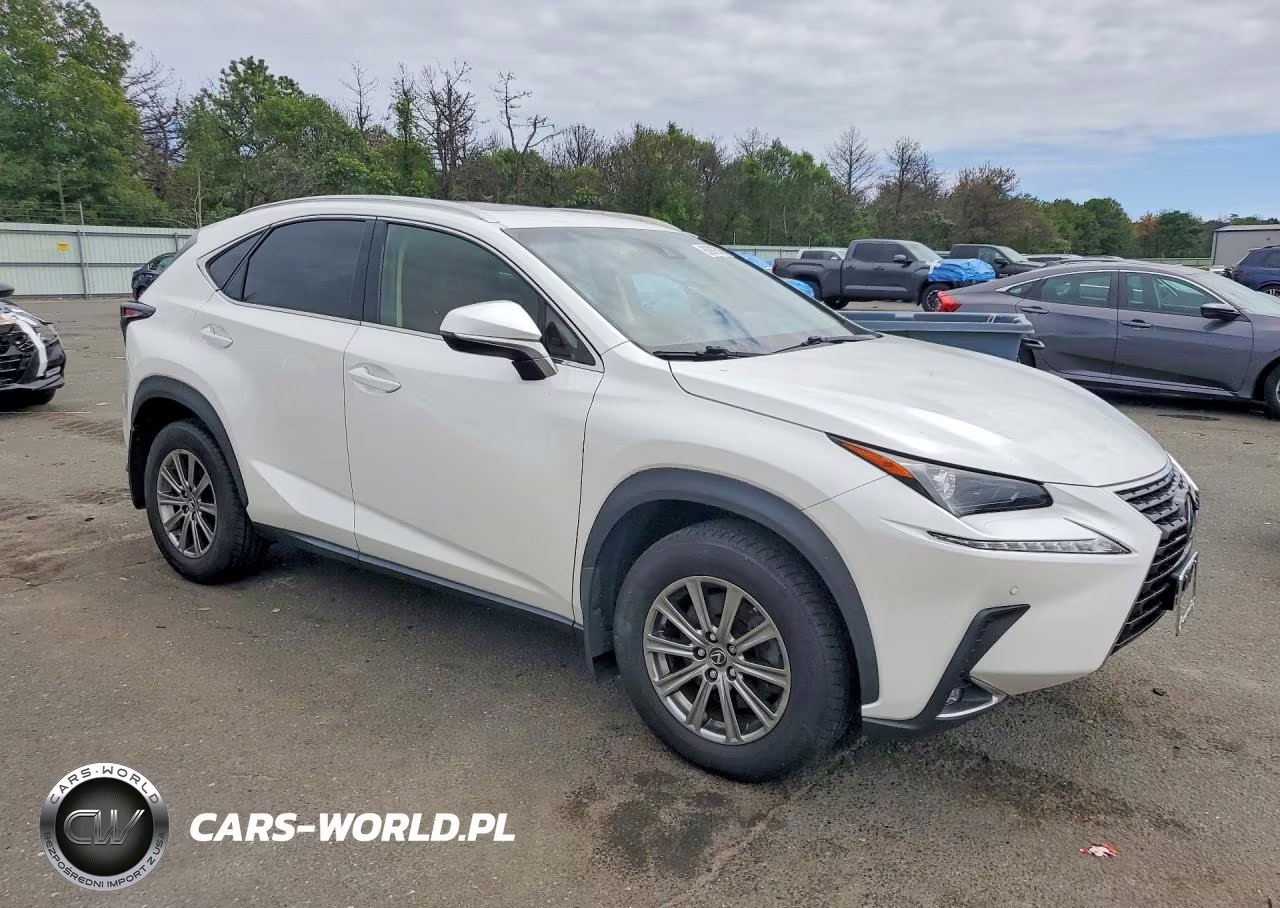 2019 Lexus Nx 300 Base VIN:JTJBARBZ2K2191723 - 4