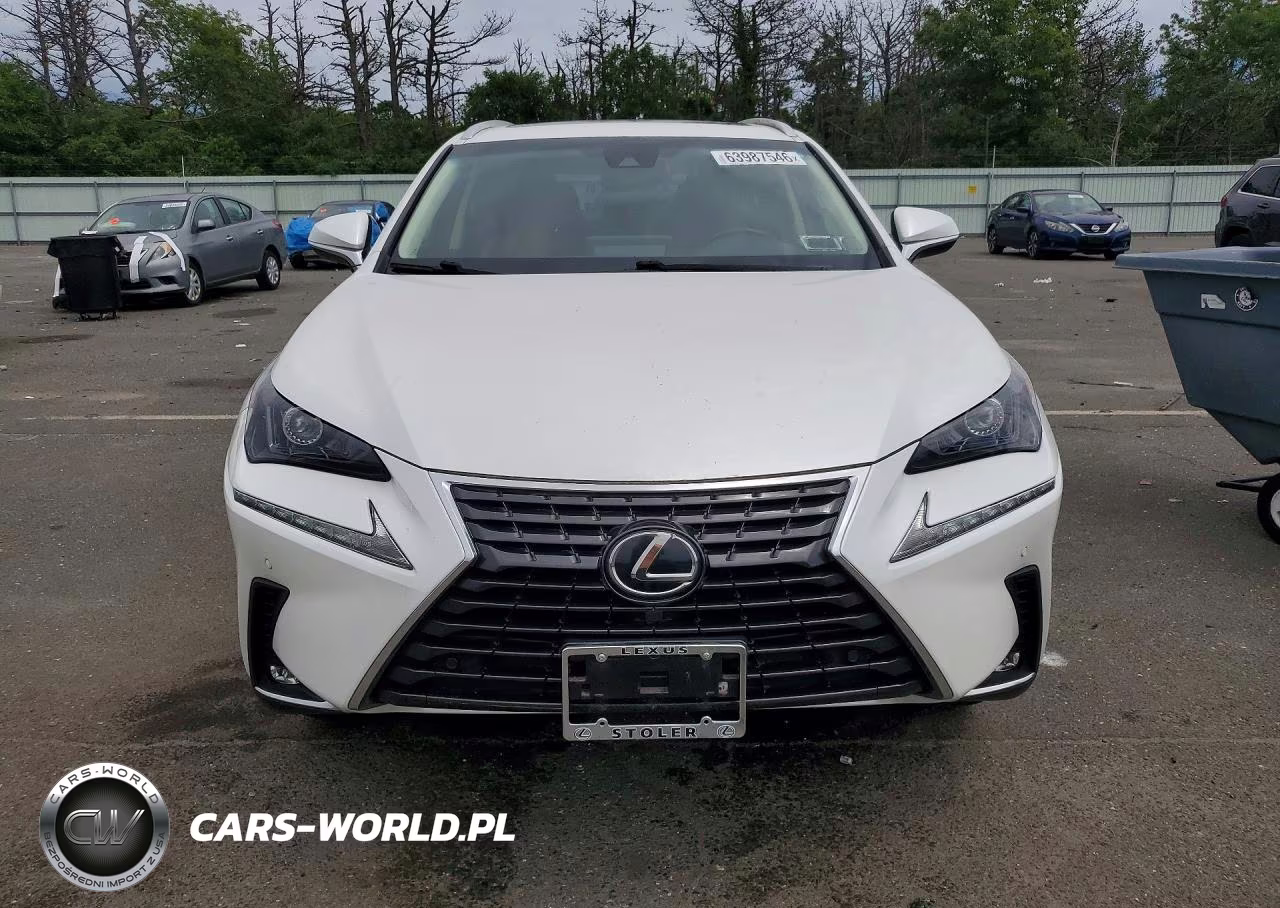 2019 Lexus Nx 300 Base VIN:JTJBARBZ2K2191723 - 5