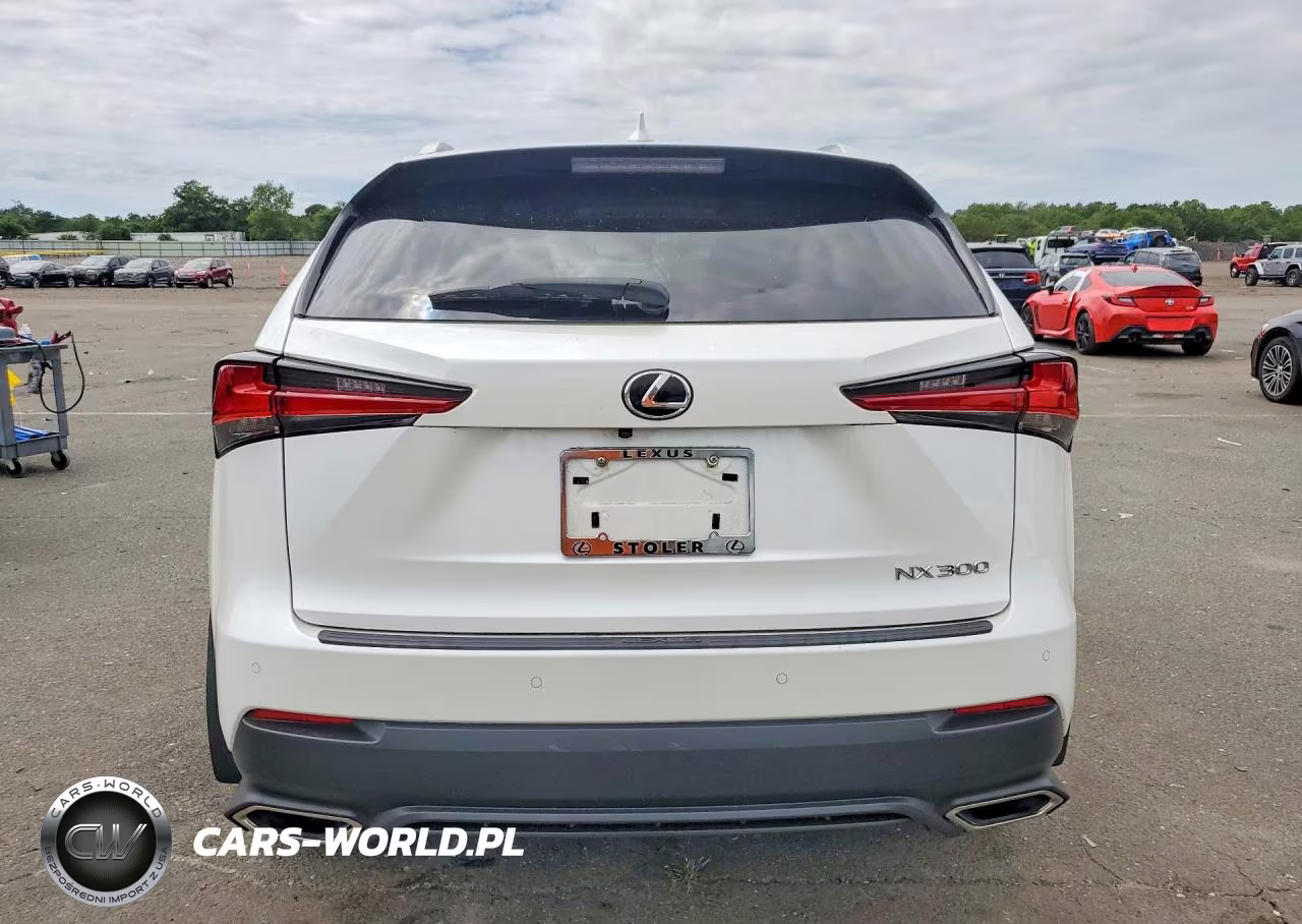2019 Lexus Nx 300 Base VIN:JTJBARBZ2K2191723 - 6