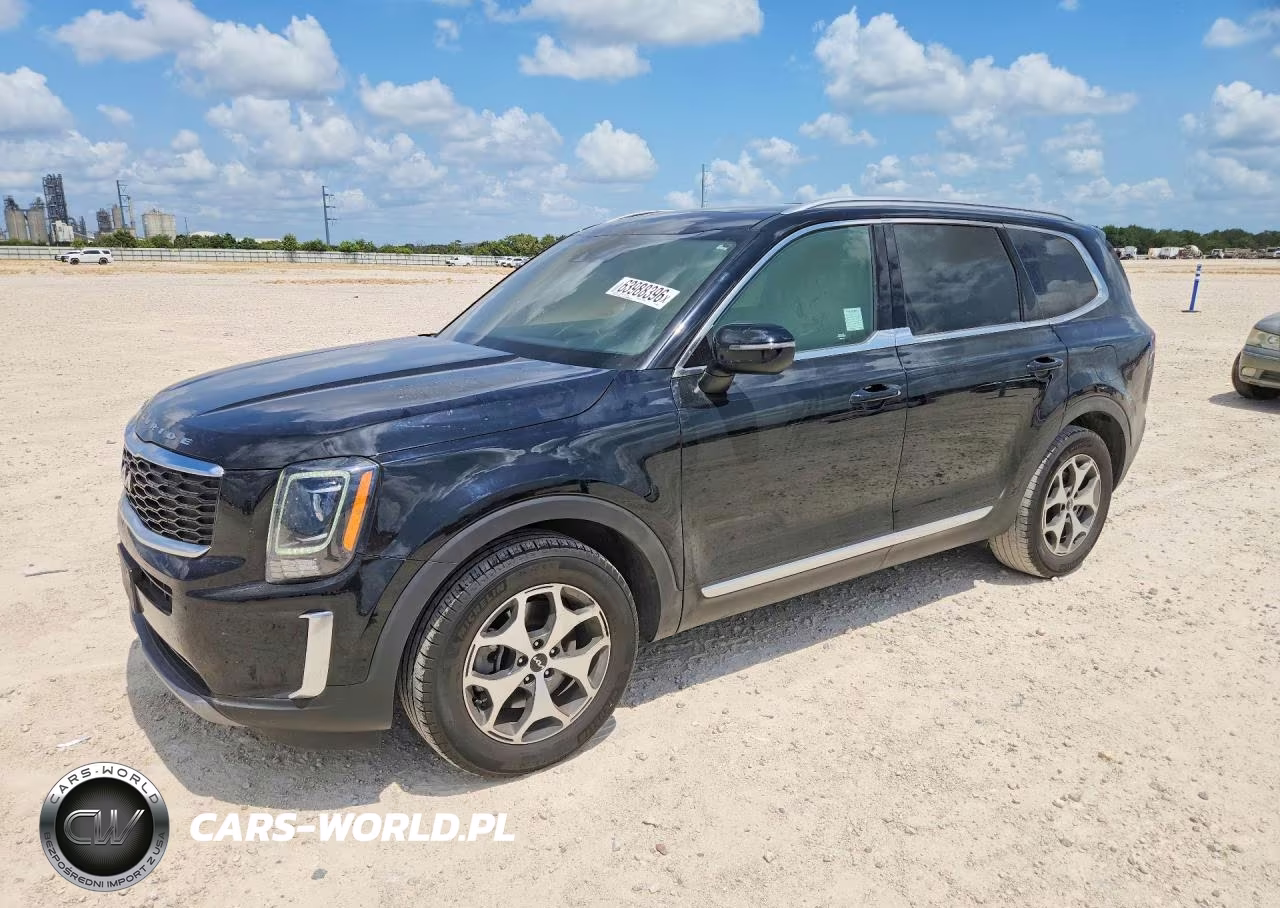 2022 Kia Telluride Ex VIN:5XYP3DHC9NG283849 - 1