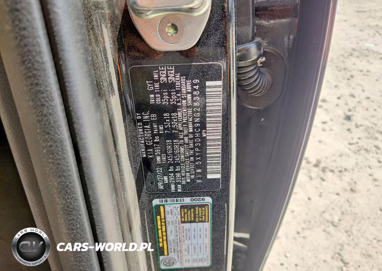 2022 Kia Telluride Ex VIN:5XYP3DHC9NG283849 - 13