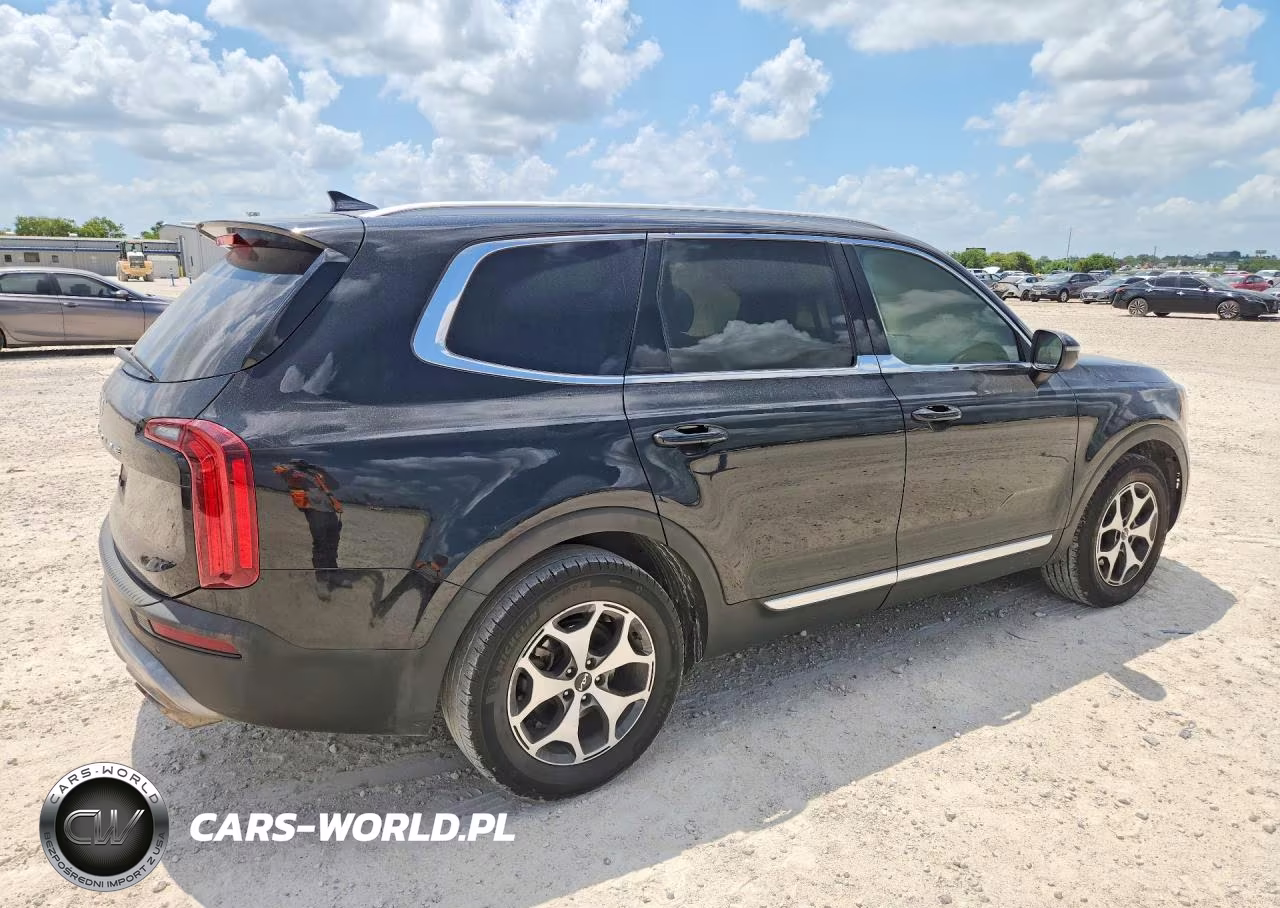 2022 Kia Telluride Ex VIN:5XYP3DHC9NG283849 - 3