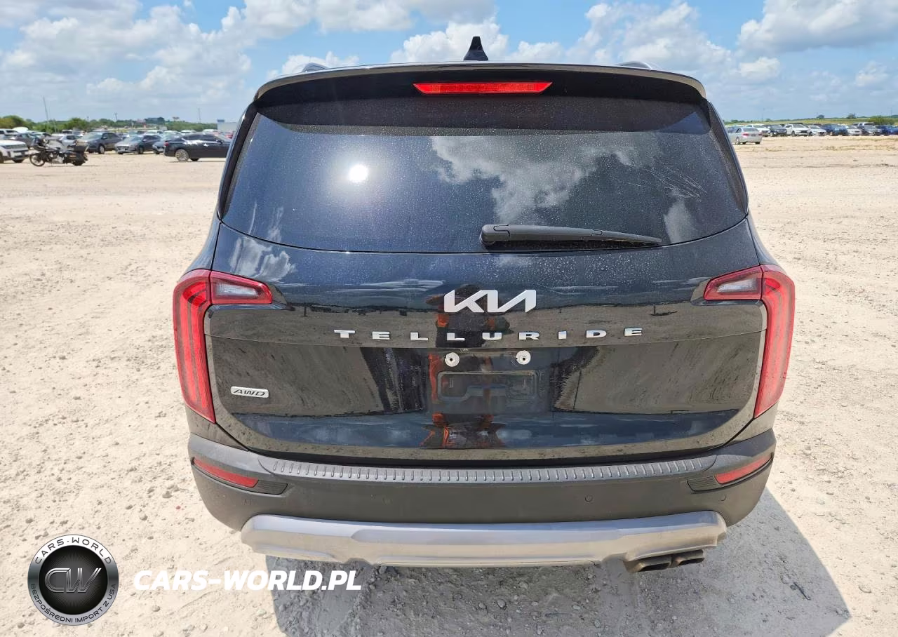 2022 Kia Telluride Ex VIN:5XYP3DHC9NG283849 - 6