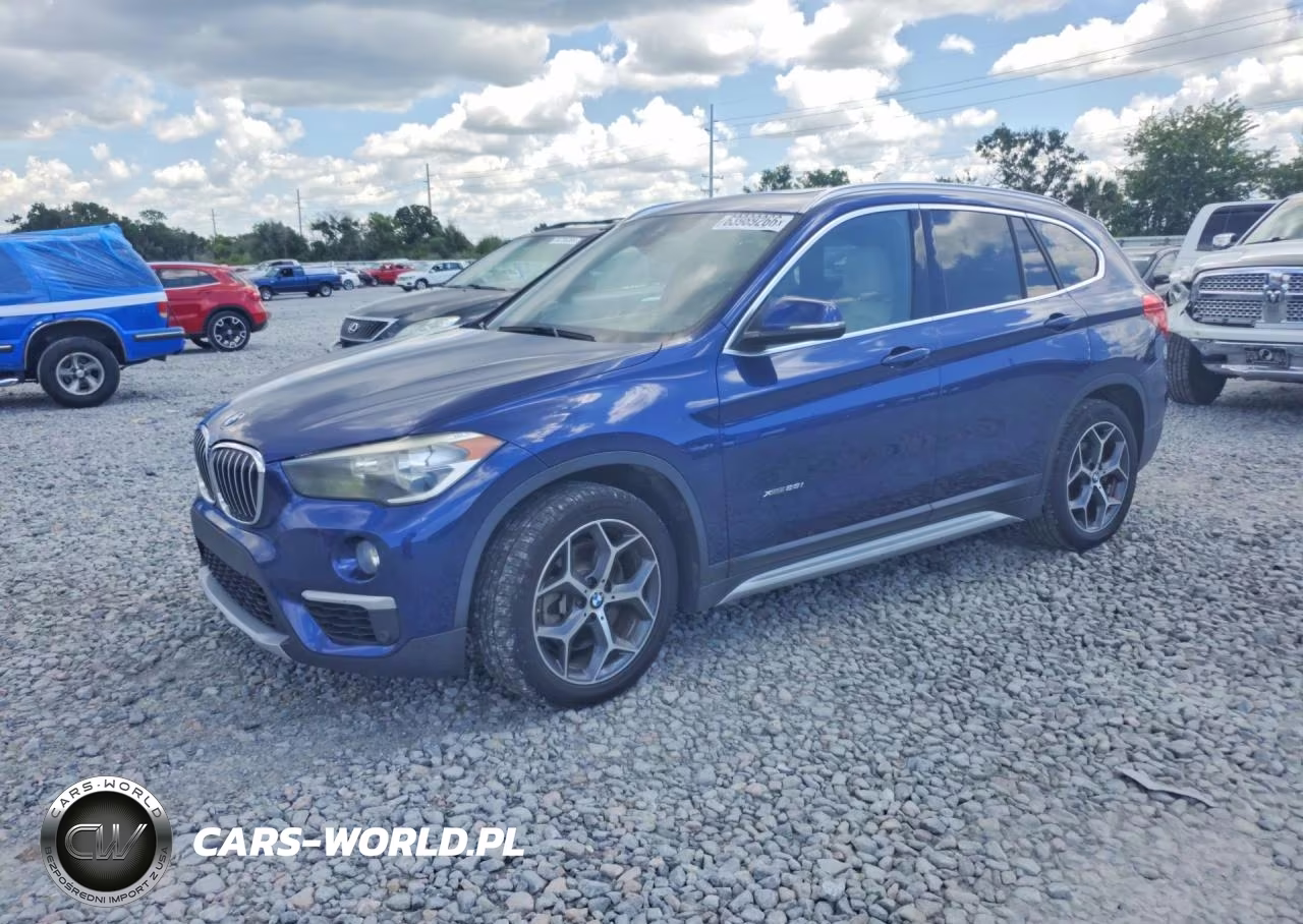 2017 BMW X1 xDrive28I – zdjęcie 1 z 13