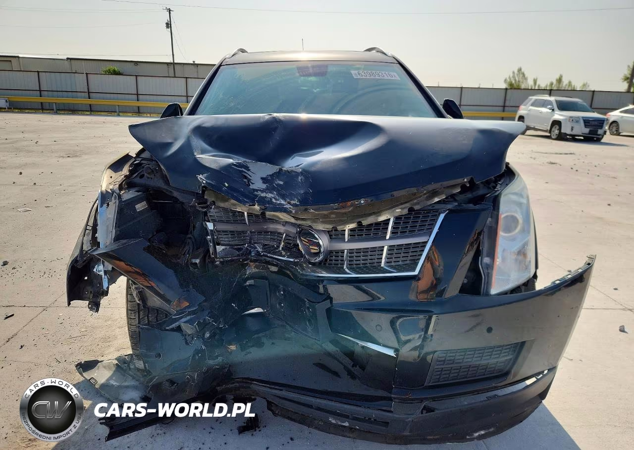 2010 Cadillac Srx Luxury Collection VIN:3GYFNAEY6AS550873 - 5