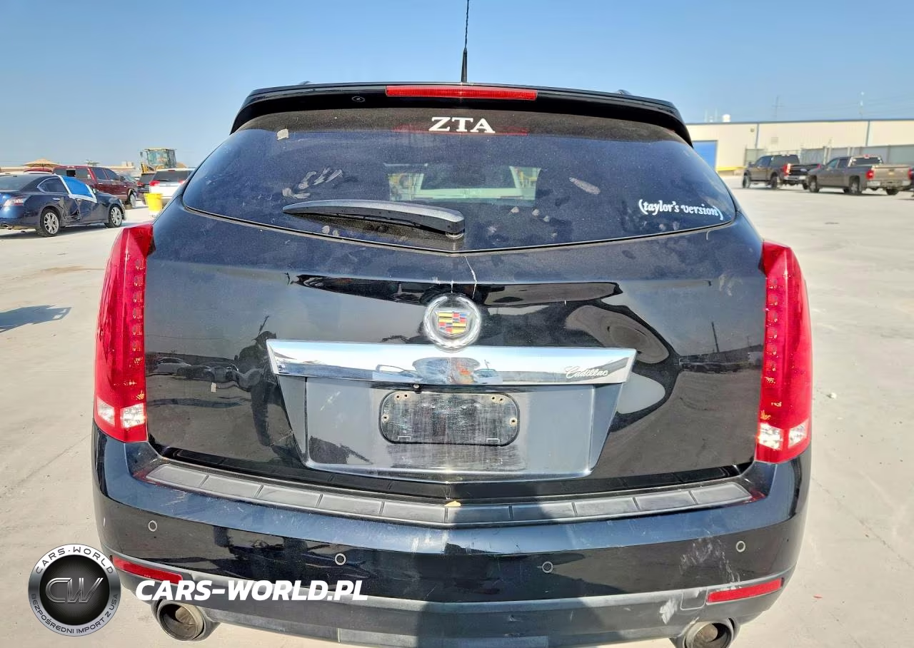 2010 Cadillac Srx Luxury Collection VIN:3GYFNAEY6AS550873 - 6