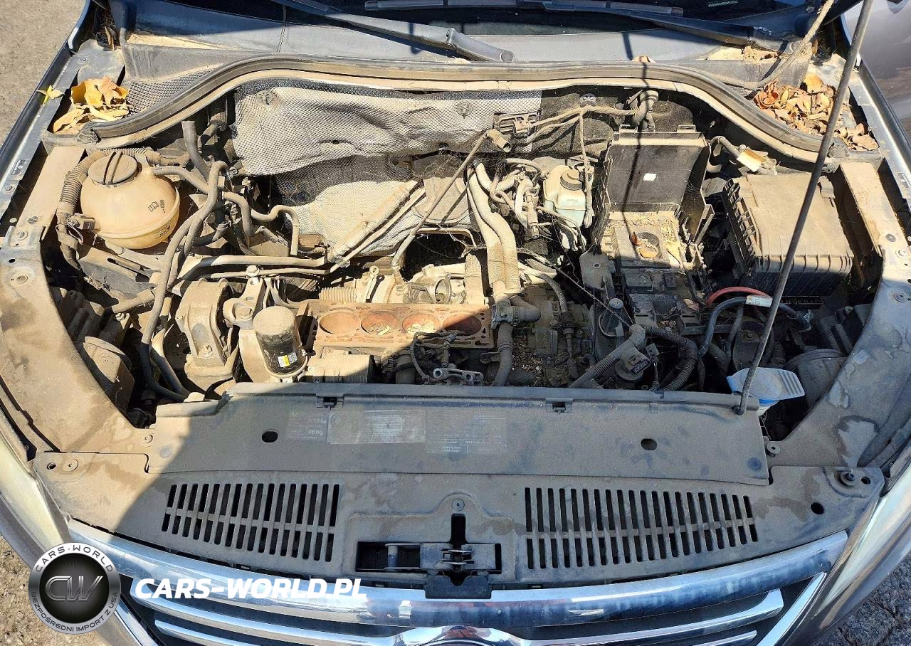 2010 Volkswagen Tiguan S VIN:WVGAV9AX6AW518792 - 12