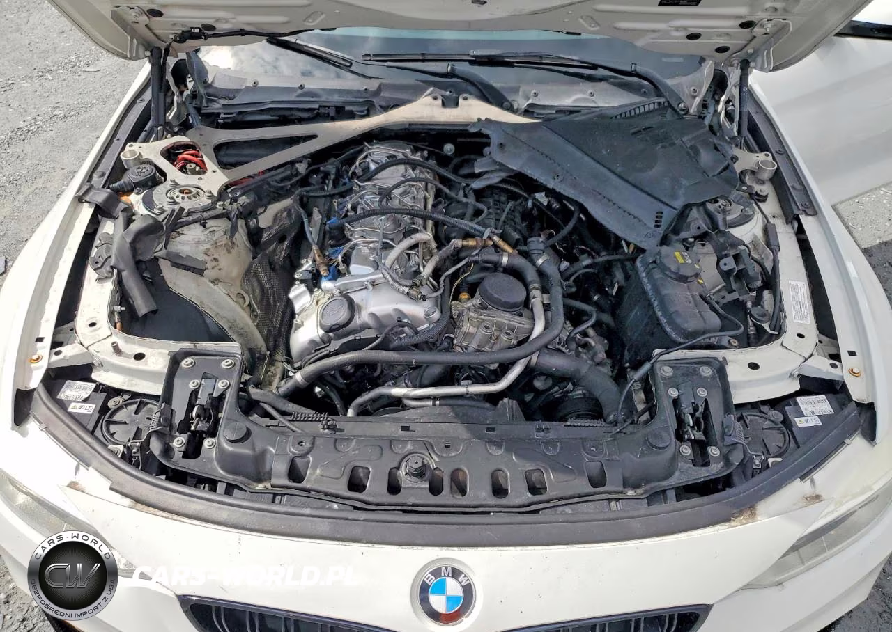 2015 BMW M4 VIN:WBS3R9C59FK333107 - 11